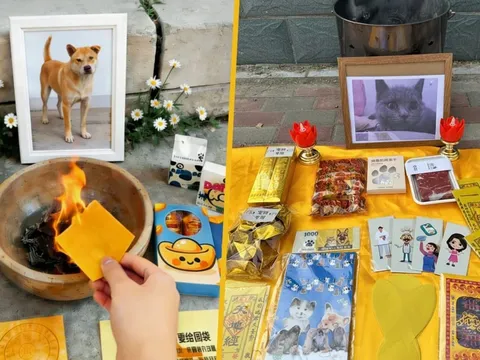 Không chỉ chôn cất, nhiều người còn mua cả tiền, đồ ăn cao cấp bằng giấy để “gửi xuống” cho thú cưng khiến ai nghe cũng bất ngờ