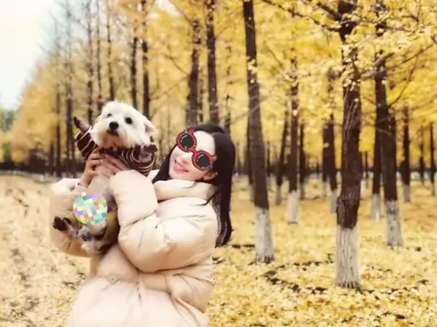 Thú cưng bị đầu độc, người phụ nữ bỏ việc chỉ để theo đuổi một câu trả lời suốt 3 năm ròng