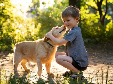 Một thói quen nhiều gia đình vẫn làm mỗi ngày lại khiến bé trai 14 tuổi gần như mất thị lực vĩnh viễn, bác sĩ cảnh báo điều này