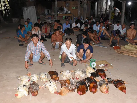 Hé lộ người đứng sau tụ điểm đá gà quy tụ 35 người vừa bị triệt phá