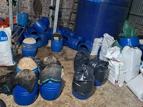 Cận cảnh "xưởng" sản xuất hơn 500 tấn giá đỗ bằng hóa chất độc hại của Chu Thị Hòa: Những gì diễn ra bên trong khiến nhiều người rùng mình