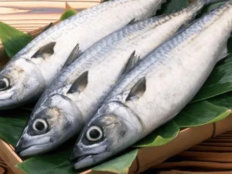 4 loại cá quen thuộc nhưng được ví như “liều thuốc tự nhiên”, nhiều người Việt đang bỏ qua