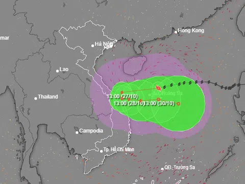 Tin mới nhất về cơn bão Trà Mi 26/10: Giật cấp 14, Quảng Ngãi mưa lớn từ chiều nay