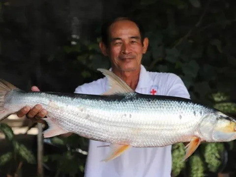 “Bóng ma Mê Kông” tưởng đã tuyệt chủng, nay trở lại gây sốt