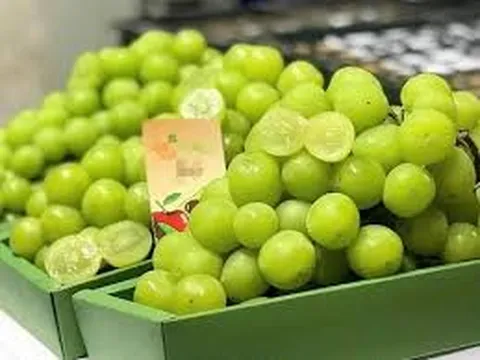 Kiểm tra 10 mẫu nho nhậu khẩu từ Trung Quốc, cơ quan chức năng phát hiện gì?