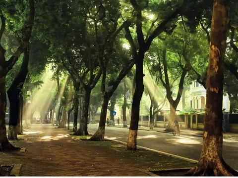 Tin thời tiết mới nhất ngày 14/11: Bão số 8 suy yếu thành áp thấp nhiệt đới, hai cơn bão khác “nối đuôi” nhau vào biển Đông