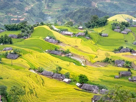 Dự báo thời tiết ngày 16/11/2024: Bão Usagi suy yếu, ngày nắng đẹp trên cả nước