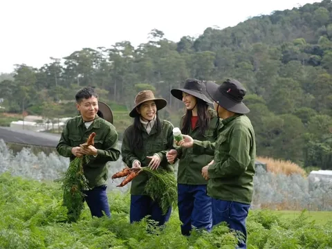 Hằng Du Mục, Quang Linh Vlogs sẽ bị xử phạt, còn Thủy Tiên thì sao?