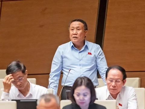 Miễn thuế sử dụng đất nông nghiệp nhưng phải tránh tình trạng 'ôm đất chờ thời'