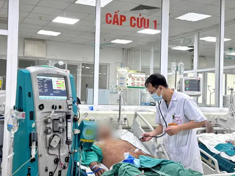 Nguy kịch sau khi ăn tiết canh: Nam thanh niên sốc nhiễm trùng, xuất huyết toàn thân