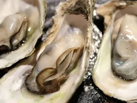 Ăn nhiều 3 món khoái khẩu này, thận âm thầm “kêu cứu” mà bạn không hề hay biết