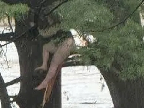 Bị lũ cuốn trôi 32km, cô gái sống sót kỳ diệu nhờ bám vào thân cây