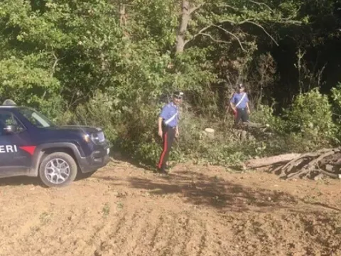 Cha mẹ nhốt con trong rừng để tránh virus: Trẻ sống như “người hoang”, không biết đọc, nói