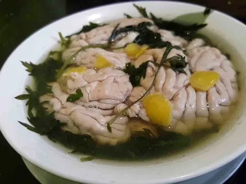 Tưởng bổ não, ăn óc heo lại khiến cơ thể mệt mỏi, khó tập trung