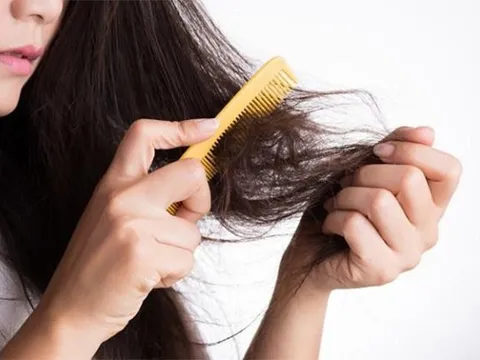 4 món ăn giúp tóc chắc khỏe, mọc nhanh như nấm