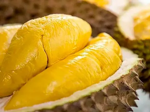 4 nhóm thực phẩm "đại kỵ" với sầu riêng cần tránh để bảo vệ sức khỏe