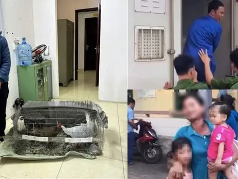 Diễn biến mới nhất vụ "Gà lôi trắng": Bị cáo Thái Khắc Thành được trở về nhà, cấm đi khỏi nơi trú