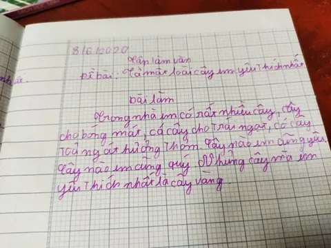 Bài văn tả loài cây yêu thích gây bão mạng: Chỉ 3 câu, cú bẻ lái cuối khiến ai cũng muốn “gieo hạt” ngay lập tức
