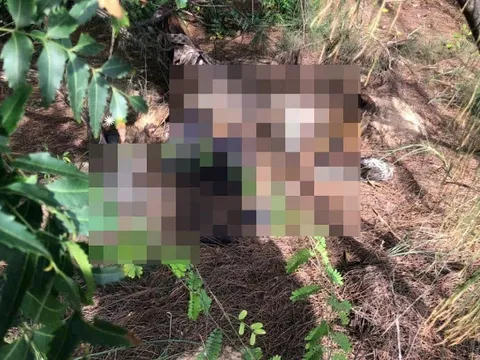 Rùng mình phát hiện thi thể không nguyên vẹn với nhiều dấu hiệu bất thường