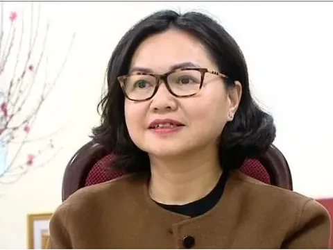 Vì sao Cục trưởng Cục An toàn thực phẩm Trần Việt Nga bị bắt tạm giam