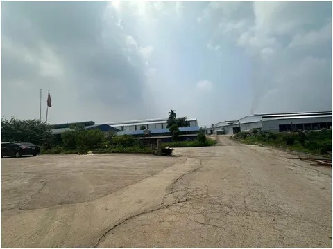 Không có giấy phép môi trường, Hợp tác xã sản xuất giấy Phù Ninh bị phạt 320 triệu đồng