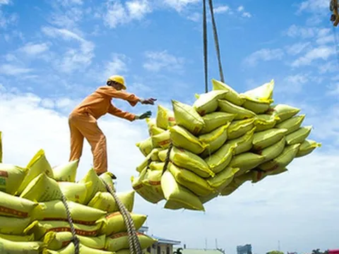 Xuất khẩu gạo Việt Nam trước động thái từ Philippines: Ổn định và chủ động ứng phó