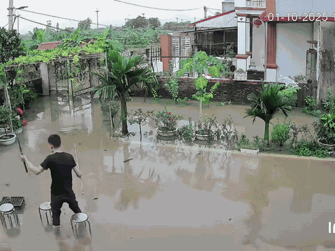 Nhà ngập sâu vì bão, thanh niên ngồi câu cá chill chill khiến cộng đồng mạng cười ngả nghiêng