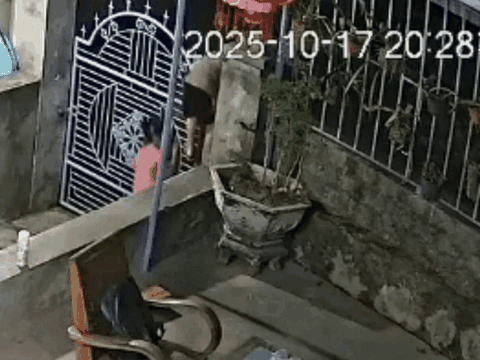 Bố mẹ xem camera an ninh mà “đứng tim” khi thấy hai con nhỏ làm điều không ngờ