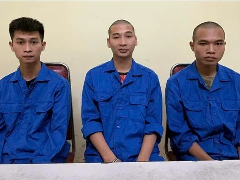 Bắt giữ Đàm Ích Mạnh và ổ nhóm trộm cắp xe máy liên tỉnh