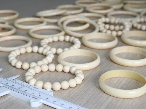 Bất ngờ thu giữ hàng chục vòng đeo tay nghi làm từ ngà voi hiếm