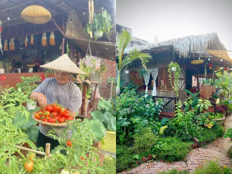 "Bỏ phố về quê", chàng trai 9X Vĩnh Long chi 100 triệu làm nhà vườn 600m2 đẹp mê trồng đủ thứ rau củ, có cả ao cá