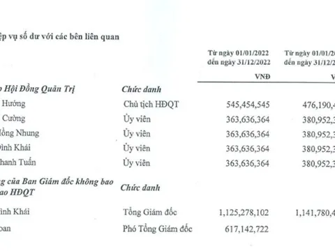 Kinh doanh lãi đậm, thu nhập các “sếp lớn” ngành dược khủng cỡ nào?