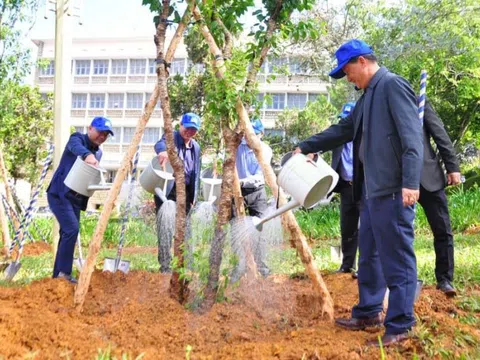 Lâm Đồng rà soát, báo cáo Bộ Công an về dự án trồng cây xanh