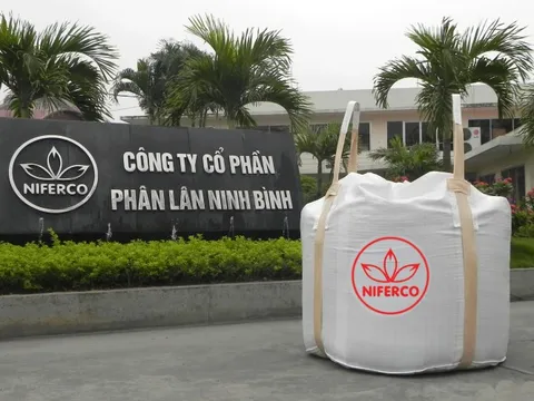 Phân lân Ninh Bình chốt quyền trả cổ tức năm 2023 bằng tiền