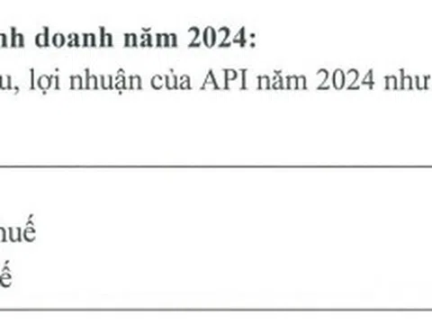 API đặt mục tiêu lãi ròng năm 2024 đạt 38 tỷ đồng khi vừa báo lỗ quý thứ tư liên tiếp