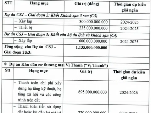 DIC Corp muốn chào bán 200 triệu cổ phiếu để 'rót' vốn cho hai dự án và trả nợ trái phiếu