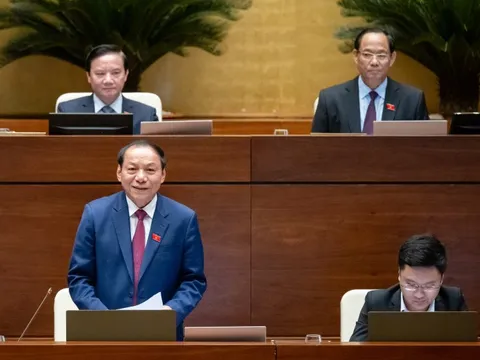 Đã chọn 12 tỉnh, thành phố để phát triển du lịch đêm