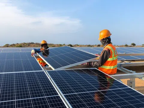 Nam Phương Energy báo lỗ hơn 93 tỷ nửa đầu năm 2024