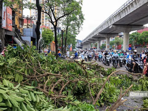 Khoảng 7.000 tỷ đồng yêu cầu bảo hiểm bồi thường sau bão số 3