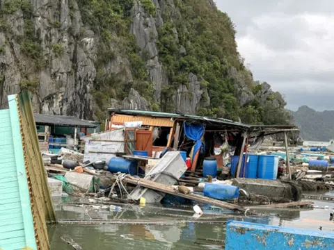 Quảng Ninh: Thiệt hại gần 24.000 tỷ đồng do bão số 3