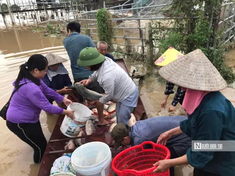 Tình người sau bão lũ: Những “phi vụ giải cứu” hàng trăm tỷ đồng