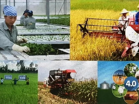 Chỉ đạo điều hành của Chính phủ, Thủ tướng Chính phủ ngày 15/2/2025