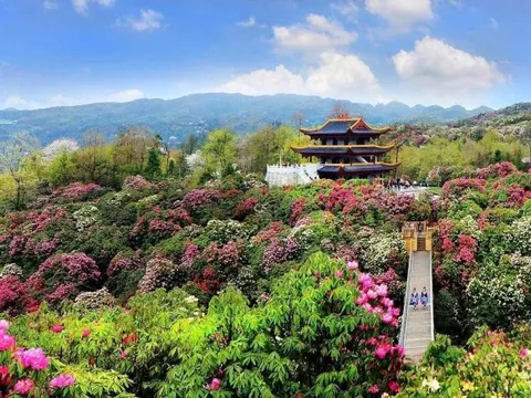 Thúc đẩy trao đổi khách du lịch 2 chiều Hà Nội - Quý Châu