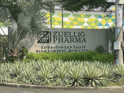 Zuellig Pharma Việt Nam doanh thu 'trượt dốc', bị truy thu thuế 27 tỷ