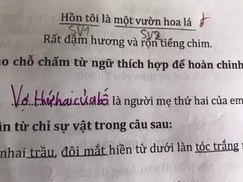 Bài tập điền vào chỗ trống: “... là người mẹ thứ hai của em”, học sinh có câu trả lời khiến bố mẹ điếng người