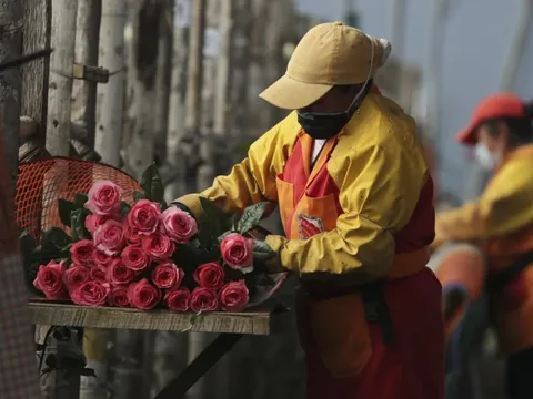Mùa Valentine năm 2025 trên thế giới