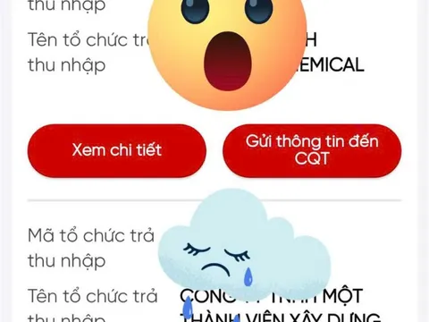 Bị DN khai khống thu nhập trăm triệu, ôm khoản nợ 'trên trời rơi xuống'