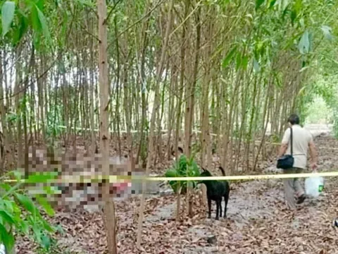 Danh tính thi thể nam giới tử vong trong tư thế treo cổ trong rừng tràm Bình Thuận