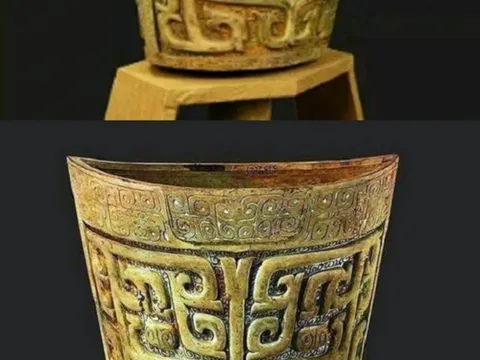 Lão nông bất ngờ tìm thấy “kho báu 3.000 năm tuổi” ở nơi không ngờ