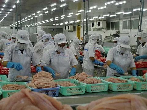 Xuất khẩu thủy sản sang Hoa Kỳ: Cơ hội và thách thức trong bối cảnh mới